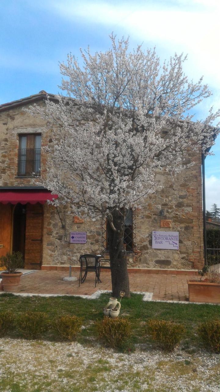 Country House La Fattoria Bellandi Contignano Екстериор снимка